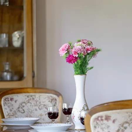 Unique House In The Mountains With Terrace, Garden & Parking By Renters * Bystra (Bielsko)